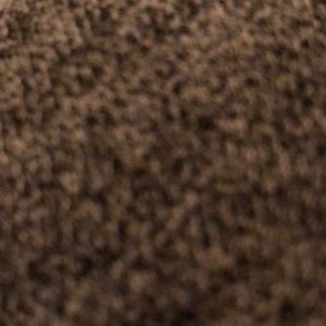 Meet your Posher, Leigh ann